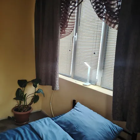 Clara Family 클루지나포카