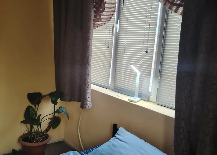 Clara Family Kluż-Napoka